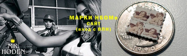 шишки Киренск