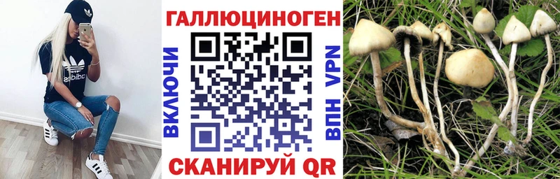 Купить где  Павловск  Псилоцибиновые грибы Psilocybine cubensis 